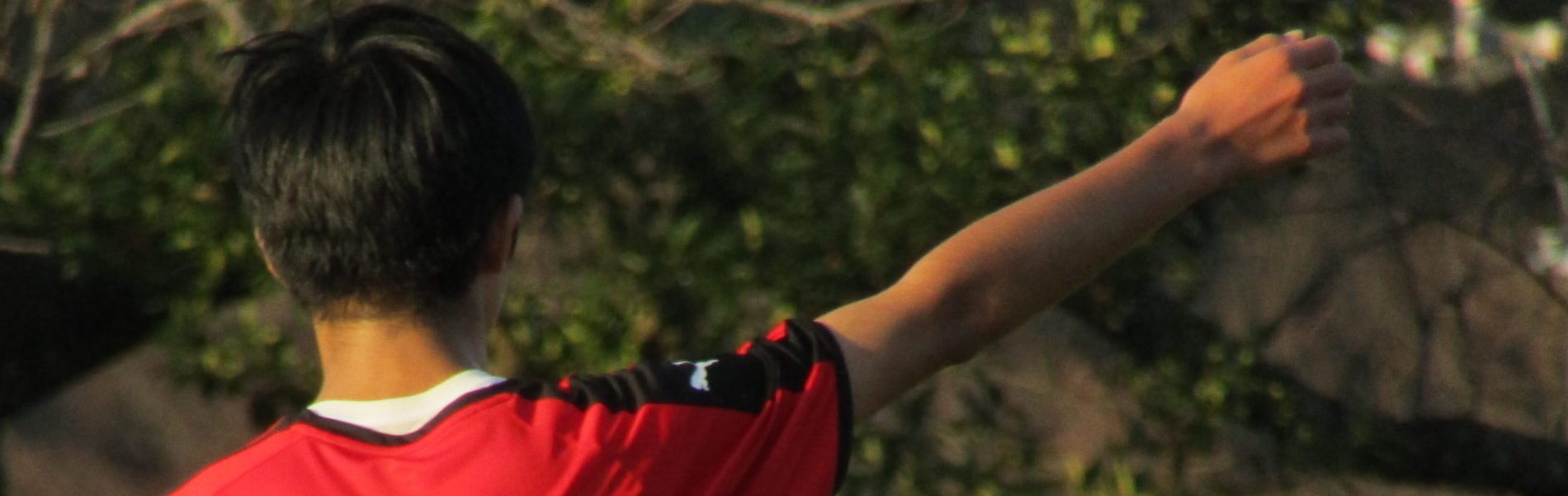 トップページ画像